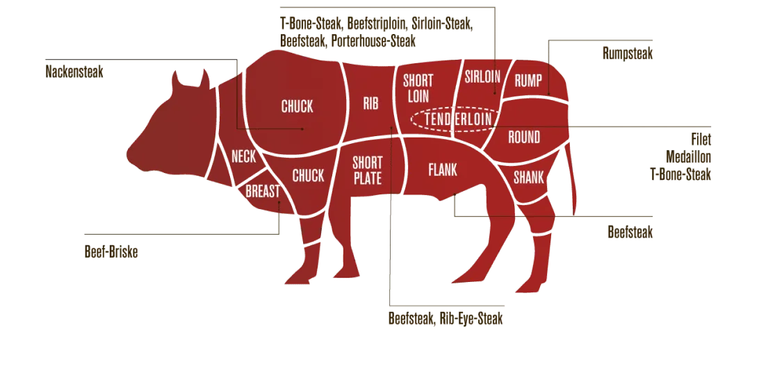 Bild eines Rinds mit Fleisch-Schema